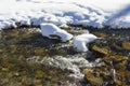 Snow and small creek Royalty Free Stock Photo