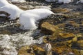 Snow and small creek Royalty Free Stock Photo