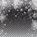 Snow snowflakes on a transparent background. Falling Christmas Royalty Free Stock Photo