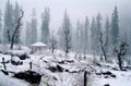 Snow at Solang, Manali, Himachal Pradesh, India Royalty Free Stock Photo