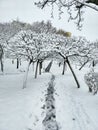 Snow stages in wintertime in Bucharest Royalty Free Stock Photo