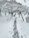 Snow stages in wintertime in Bucharest Royalty Free Stock Photo