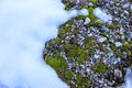 Snow. Stones. Moss. Snow. Background. Stones and mosses Royalty Free Stock Photo