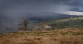 A snow storm approaches a derelict building near Garrigill,, Cumbria