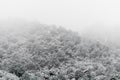 Blizzard at garden of the gods colorado springs rocky mountains during winter covered in snow Royalty Free Stock Photo