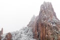 Blizzard at garden of the gods colorado springs rocky mountains during winter covered in snow Royalty Free Stock Photo