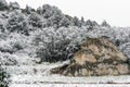 Blizzard at garden of the gods colorado springs rocky mountains during winter covered in snow Royalty Free Stock Photo