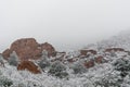 Blizzard at garden of the gods colorado springs rocky mountains during winter covered in snow Royalty Free Stock Photo