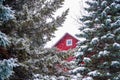 Snow Storm Falling On Spruce Trees With Red Barn Royalty Free Stock Photo