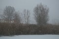 Snow storm in the lake of Colfiorito Royalty Free Stock Photo