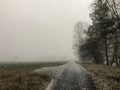 Snow storm and road with trees and field in winter Royalty Free Stock Photo