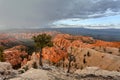 Snow storm at sunset, Bryce Canyon National Park Royalty Free Stock Photo