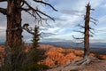 Snow storm at sunset, Bryce Canyon National Park Royalty Free Stock Photo