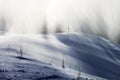 Snow storm in winter wonderland Royalty Free Stock Photo