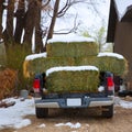 Snow straw bales truck in Nevada USA