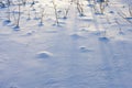 Snow Surface Royalty Free Stock Photo