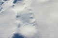Snow surface background Royalty Free Stock Photo
