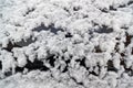 Snow on the surface of the car glass Royalty Free Stock Photo