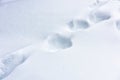 Snow texture abstract background. Smooth footprints on fresh snow cover. Scene of white nature surface in winter Royalty Free Stock Photo