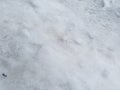 Snow texture background