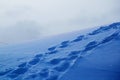 Snow texture with foot prints Royalty Free Stock Photo