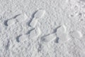 Snow texture with foot prints Royalty Free Stock Photo