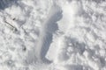 Snow texture with foot prints Royalty Free Stock Photo