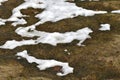 Snow thawed areas in an early spring