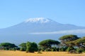 Snow on top of Mount Kilimanjaro Royalty Free Stock Photo