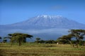 Snow on top of Mount Kilimanjaro in Amboseli Royalty Free Stock Photo