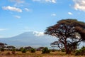 Snow on top of Mount Kilimanjaro in Amboseli Royalty Free Stock Photo