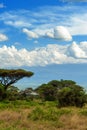 Snow on top of Mount Kilimanjaro in Amboseli Royalty Free Stock Photo