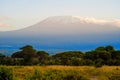 Snow on top of Mount Kilimanjaro in Amboseli Royalty Free Stock Photo