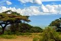 Snow on top of Mount Kilimanjaro in Amboseli Royalty Free Stock Photo