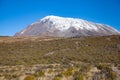 Snow on top of Mount Kilimanjaro Royalty Free Stock Photo