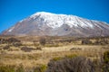 Snow on top of Mount Kilimanjaro Royalty Free Stock Photo