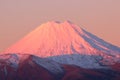 Snow top of Mt. Ngauruhoe volcano at sunset, New Zealand Royalty Free Stock Photo