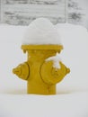 Snow topped yellow fire hydrant on winter day Royalty Free Stock Photo