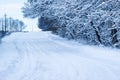 Snow trail along the winter forest