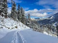 Snow trail, path made by people touring on skis in sunny winter Royalty Free Stock Photo