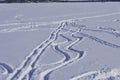 Snow trails on frozen lake Monona