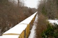 Snow Train Royalty Free Stock Photo