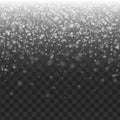 Snow on transparent background. Winter snowfall. Royalty Free Stock Photo