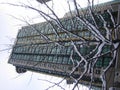 Snow Tree Against Building