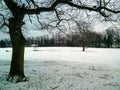 Snow , Trees , Darlington Royalty Free Stock Photo