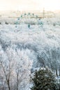 Snow trees with ferris wheel panoramic view