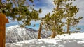 Snow Trees on Mountain Ridge In The Angeles National Forest, California Royalty Free Stock Photo