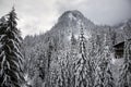 Snow Trees Mountain Ski Lodge Alpental Washington Royalty Free Stock Photo