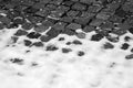 Snow on urban pavement in black and white Royalty Free Stock Photo