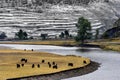 Snow view of tibetan village at Shangri-la China Royalty Free Stock Photo